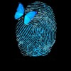 شرکت دیجیتال مارکتینگ تاچ بیز . Touchbiz.biz