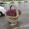 گلدان زیبای شهری طرح سبد