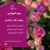 دوره آموزشی اصول کشت و پرورش گل رز هلندی در گلخانه