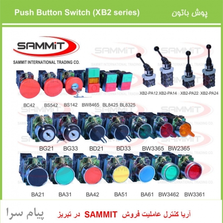 عاملیت فروش انواع کلید پوش باتون SAMMIT در تبریز