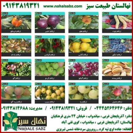 تولید کننده انواع نهال میوه , بذر نهال و درختچه های زینتی