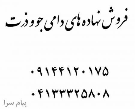 فروش نهاده های دامی