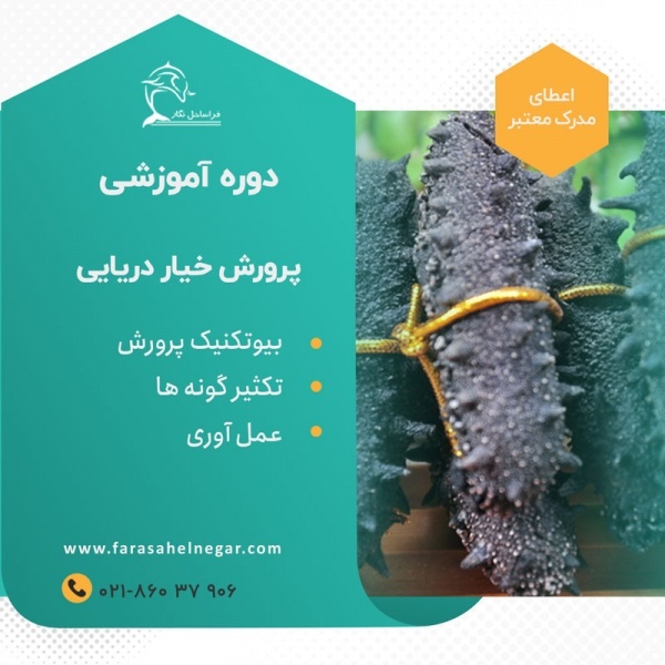 دوره آموزشی پرورش و تکثیر خیار دریایی