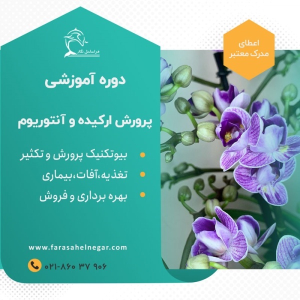 دوره آموزشی کشت ارکیده و آنتوریوم بصورت تجاری