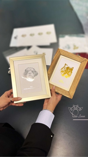 پالوکس تابلو دیواری و رومیزی با طراحی اختصاصی پت