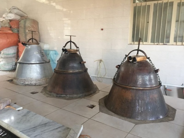 فروش انواع گلاب و عرقیات،گلاب کاشان،نعناع،بیدمشک،کاسنی،رازیا