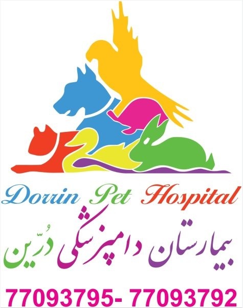بیمارستان دامپزشکی و پت شاپ شبانه روزی درین