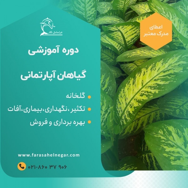 دوره آموزشی پرورش گیاهان آپارتمانی -نگهداری و تکثیر
