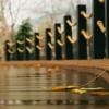 متنوع ترین خدمات چوب پلاست